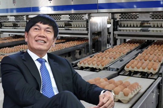 Chứng khoán Vietcap (VCI) đăng ký mua 7 triệu cổ phiếu Nông nghiệp Hòa Phát (HPA)