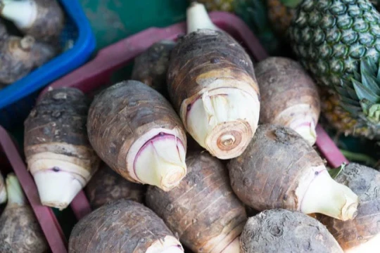 Loại củ chỉ cần chạm tay 1 giây là ngứa cả ngày, ai ngờ lại cực tốt cho gan và tim mạch, ngừa đột quỵ