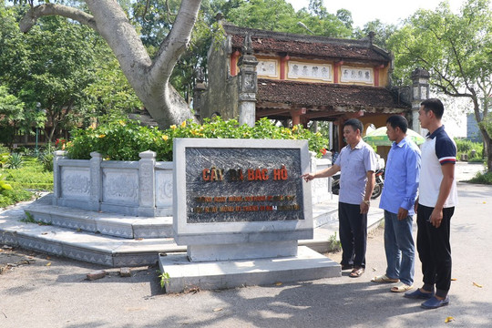 Ngôi làng duy nhất được ví như 'kho nhân tài', có đủ Trạng nguyên, Bảng nhãn, Thám hoa, thế hệ sau toàn Giáo sư, Tiến sĩ nổi danh