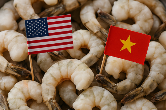 Tôm Việt đối diện nguy cơ Mỹ áp thuế 35%, hơn 700 triệu USD xuất khẩu đứng trước thách thức lớn