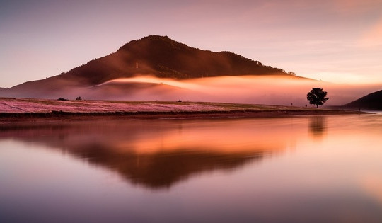 Tập đoàn TH tìm hiểu cơ hội đầu tư dự án du lịch gần 4.000ha tại Lâm Đồng