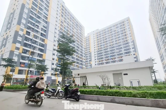 Bắc Ninh, Hải Phòng phát hiện hàng loạt sai phạm mua bán nhà ở xã hội