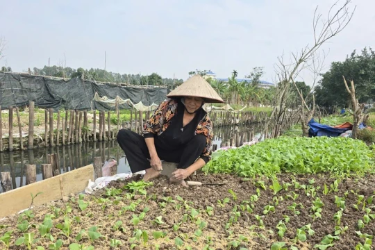 Hà Nội triển khai 2 siêu dự án gần 1,8 triệu tỷ đồng: Cần đảm bảo quyền lợi người dân bị thu hồi đất