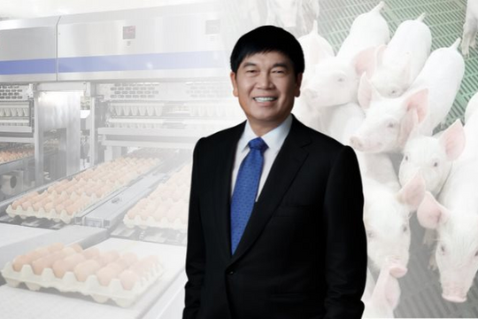 IPO Nông nghiệp Hòa Phát dưới góc nhìn CTCK: Mua ở giá chào bán, NĐT có thể hưởng lợi trên 20%