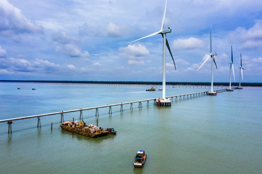 EVN khởi công, khánh thành 18 công trình dịp 19/12