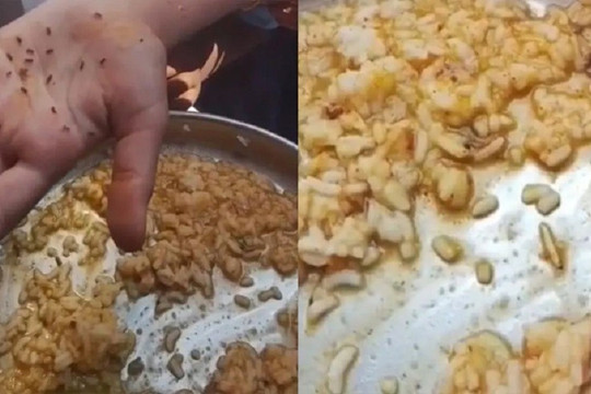 Phát hiện giòi bọ lúc nhúc trong cơm trưa của học sinh tại một trường công lập Ấn Độ