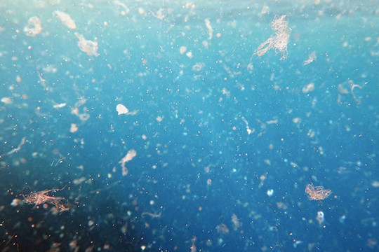 Nhật Bản phát triển loại nhựa có thể phân hủy hoàn toàn trong nước biển, không để lại vi nhựa