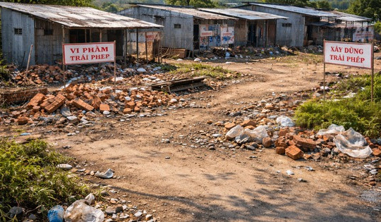 Tới đây, đất vi phạm trước ngày 1/7/2014 có khả năng được xem xét cấp sổ đỏ