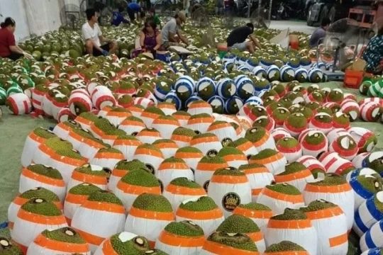 Tin vui đối với nông dân Việt: Thêm một loại quả phổ biến được xuất khẩu chính ngạch sang thị trường đông dân bậc nhất thế giới