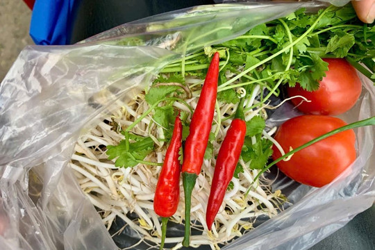 Ớt leo giá đắt ngang thịt bò, chạm mốc 250.000 đồng/kg