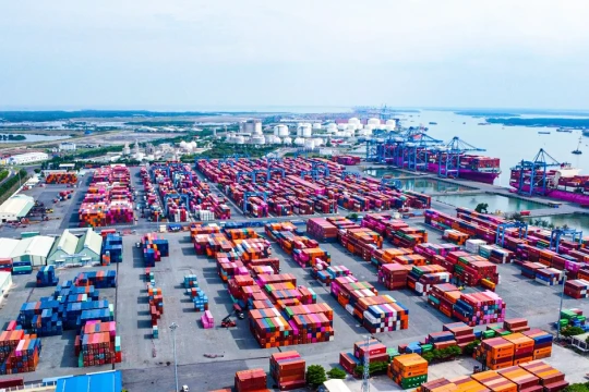 Gần 500 container chè Việt Nam ách tắc tại Pakistan