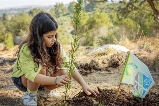 Cách người Do Thái dạy con làm giàu từ nông nghiệp công nghệ cao: Đưa con ra sa mạc làm nông, lớn lên trở thành triệu phú