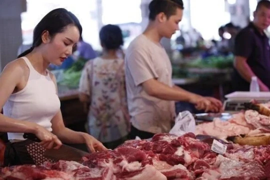 Ở Việt Nam lương vài triệu, sang nước ngoài làm nghề chân tay nhận trăm triệu/tháng