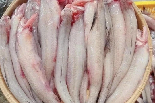 Phát hiện nhiều khu chợ bán cá cháo có chứa chất cấm