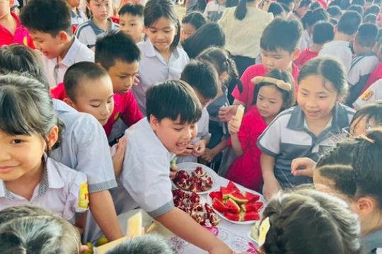 Hà Nội đổi lịch nghỉ Tết Dương lịch cho học sinh