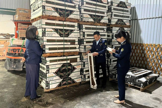 Phát hiện kho gạch ốp lát quy mô lớn không rõ nguồn gốc trị giá hàng trăm triệu đồng tại phường Thái Bình