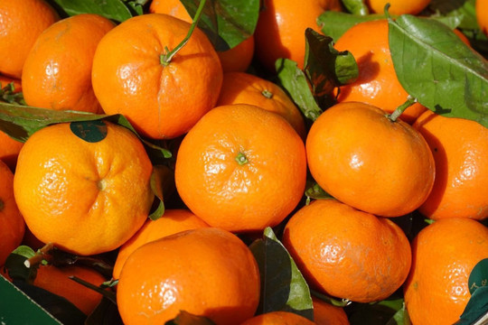 Sự thật về nguồn gốc và giá cả của loại cam đang phủ sóng khắp các chợ truyền thống