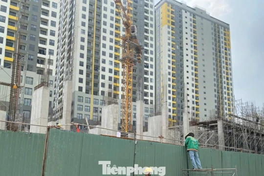 TPHCM quy định diện tích căn hộ chung cư