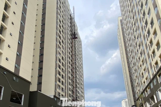 TPHCM ngăn ngừa cò hồ sơ, trục lợi chính sách nhà ở xã hội
