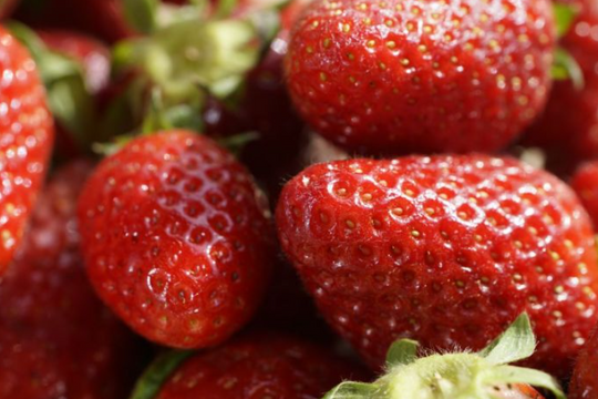 Nghịch lý tại nền kinh tế lớn thứ 4 châu Á: Người dân phải mua dâu với giá đắt đỏ, nông trại lại vứt bỏ hàng trăm kg/ngày