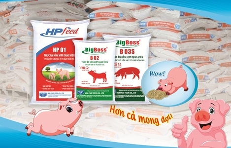 Công ty thức ăn chăn nuôi của Hòa Phát (HPG) vào diện thanh tra