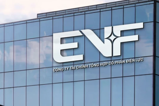 EVF đón thêm nhóm cổ đông lớn mới sau loạt tín hiệu vui từ Chính phủ Thuỵ Điển