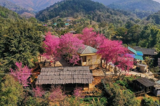 Ngôi làng miền biên viễn xứ Nghệ được ví như 'Nhật Bản thu nhỏ', sở hữu cảnh đẹp đến nao lòng