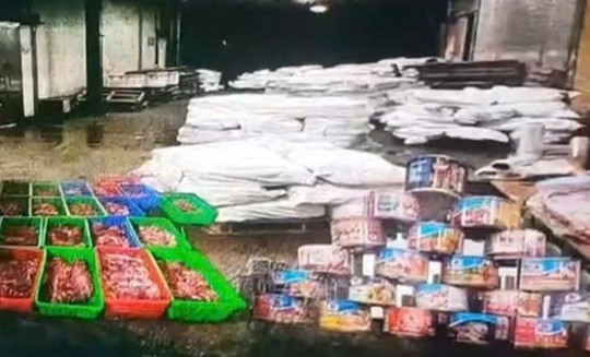 Công bố danh tính 9 bị can trong vụ 120 tấn thịt lợn bệnh tuồn vào Công ty CP Đồ hộp Hạ Long