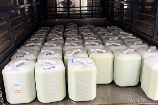 Phát hiện cơ sở kinh doanh rượu 'chui' do L.P.L làm chủ, thu giữ gần 900 lít rượu hương cốm