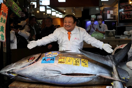 Hơn 85 tỷ để sở hữu con cá ngừ vây xanh, thiết lập mức giá kỉ lục chưa từng có