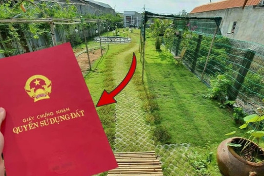 Tách thửa cho con thế nào để không mất ưu đãi giảm 70% tiền chuyển đất nông nghiệp?