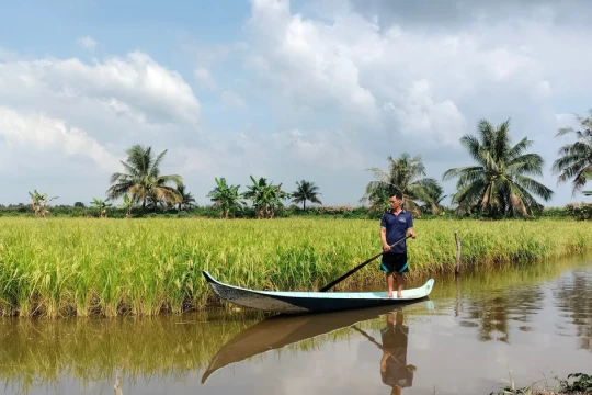 4 sản phẩm nông nghiệp chủ lực của Cà Mau