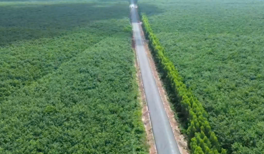 Con đường xuyên rừng cao su tại thành phố giàu nhất Việt Nam: Gặp khó khăn, phải lùi kế hoạch thông xe nửa năm
