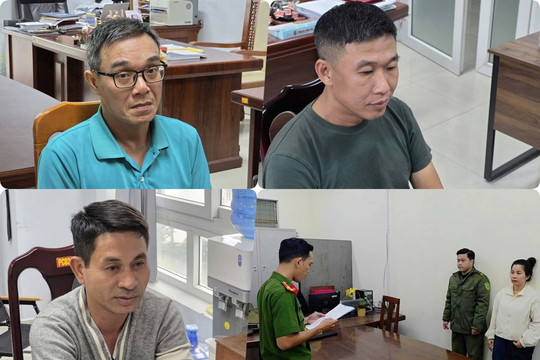 Thu hồi 3 vali vô chủ tại sân bay, phát hiện 150 bao nilon chứa hơn 90.000 con tôm hùm