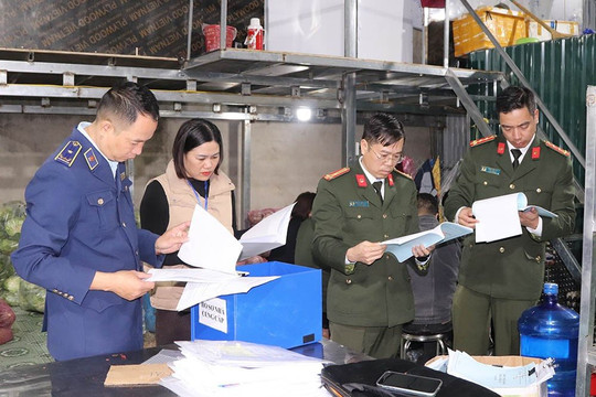 Phát hiện lượng lớn thịt lợn, nội tạng nhiễm dịch tả lợn châu Phi
