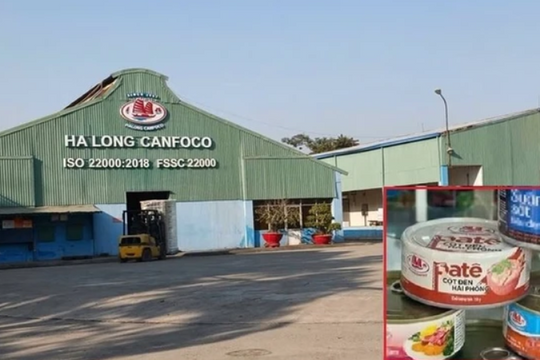 Vụ 130 tấn thịt heo bệnh: CEO Đồ hộp Hạ Long nhận thù lao tiền tỷ trước khi bị bắt