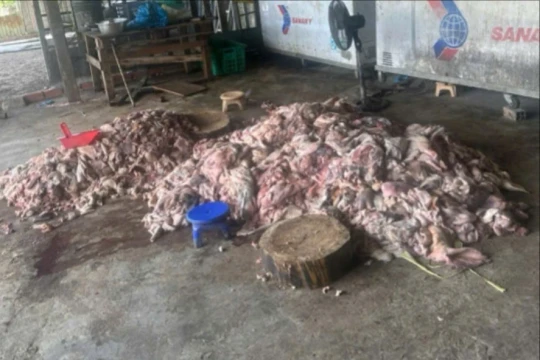 Phát hiện thịt lợn bốc mùi hôi thối sắp 'tuồn' ra thị trường