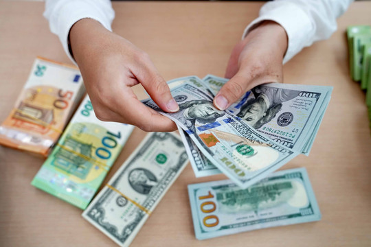 Đề xuất phát hành trái phiếu ngoại tệ và trả lãi USD để hút tiền trong dân, tăng nguồn lực cho nền kinh tế
