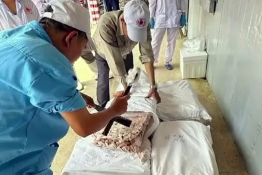 Vụ patê 'dính' lợn bệnh: Hải Phòng rà soát lò mổ, cơ sở chế biến thịt