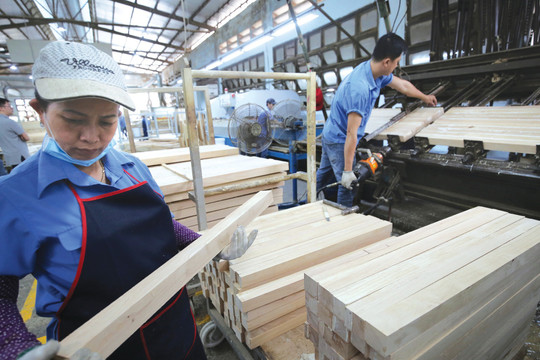 Ngành Gỗ vượt khó, tạo giá trị kỷ lục