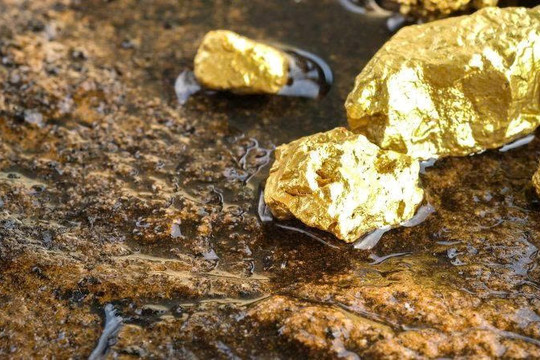 Cổ phiếu công ty khai thác vàng tăng dựng đứng 1.000% dù mỏ chưa hoạt động, chưa hề có doanh thu