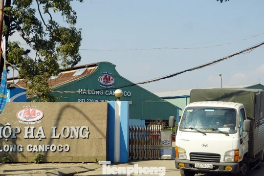 Vụ patê 'dính' lợn bệnh: Đồ hộp Hạ Long tạm ngừng sản xuất, người lao động ra sao?