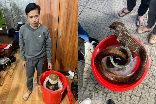 Khởi tố Phạm Duy Thuyết SN 1981 vì mua bán rắn hổ mang chúa