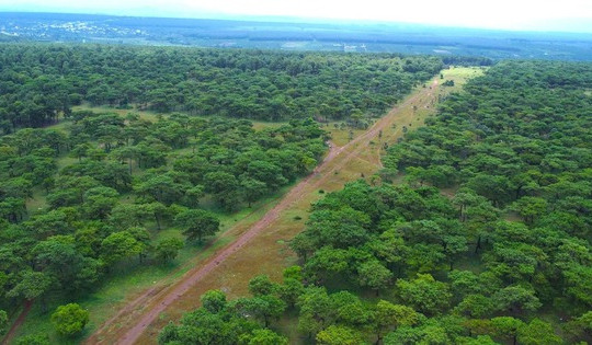 Doanh nghiệp liên quan FLC được chấp thuận đầu tư dự án sân golf hơn 1.000 tỷ tại tỉnh lớn thứ 2 Việt Nam