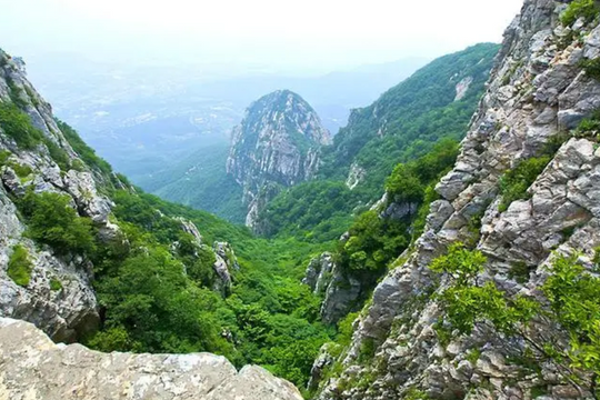 Thu giữ miếng vàng nguyên chất trị giá 878 tỷ đồng do nông dân đào được trong khe núi