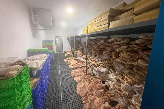 50 tấn thịt heo được tẩm ướp tạo hình biến thành bắp dê Australia, thịt nhím, nai đưa vào tiêu thụ tại loạt nhà hàng, quán ăn