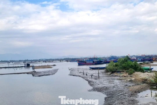 Khi nào đưa vào sử dụng dự án Khu tránh trú bão cho tàu cá 420 tỷ đồng ở Đà Nẵng?
