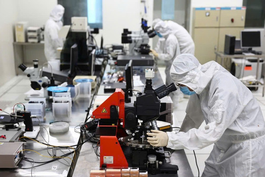 Ưu đãi thuế thu nhập cá nhân tới 6 năm cho chuyên gia, nhà khoa học làm startup