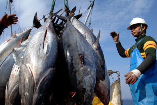 Một 'kho báu' của Việt Nam chinh phục hơn 110 quốc gia, Tây Ban Nha chi gần 15 triệu USD trong 11 tháng