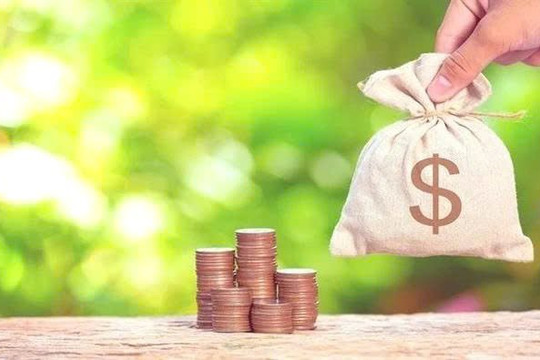 Lãi lớn, doanh nghiệp chuyên kinh doanh đầu lọc thuốc lá tạm ứng cổ tức tỷ lệ 15%